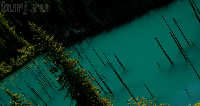 62868d8342 (700x370, 241Kb)
