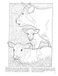  Baby Animals Coloring Book (Dover Pictorial Archives)_4 (306x396, 23Kb)