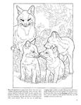  Baby Animals Coloring Book (Dover Pictorial Archives)_10 (306x396, 28Kb)