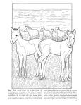  Baby Animals Coloring Book (Dover Pictorial Archives)_12 (306x396, 27Kb)