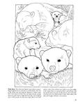  Baby Animals Coloring Book (Dover Pictorial Archives)_30 (306x396, 25Kb)