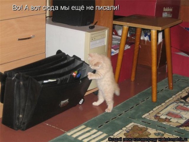 3755121_9e1538d40459 (640x480, 51Kb)