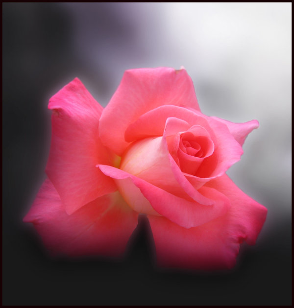 00ff413ab016 (600x629, 39Kb)