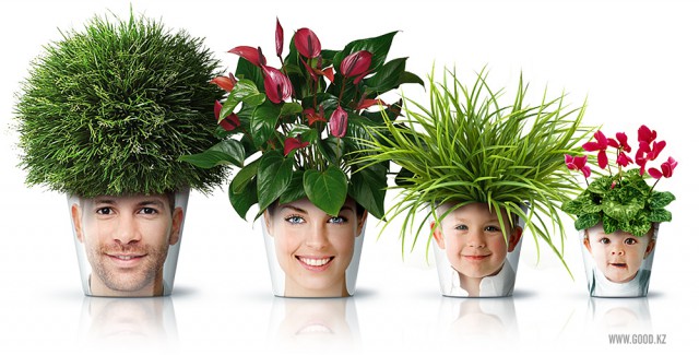 FACEPOT_5-e1300622276598 (640x325, 69Kb)