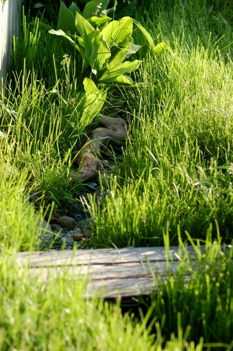 3392780_DSC_8538 (465x700, 322Kb)