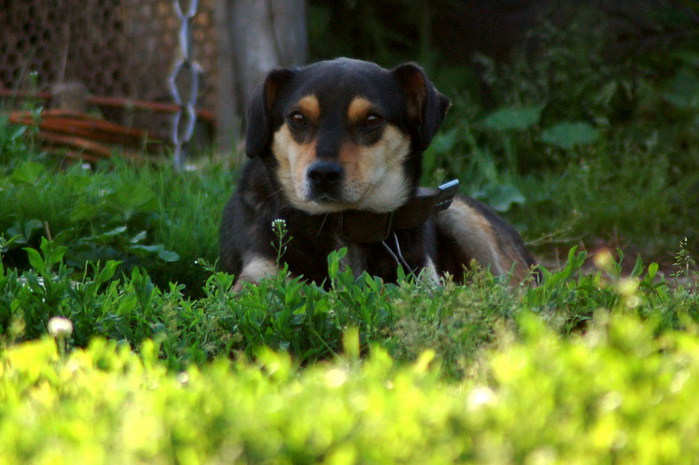 3392780_DSC_8540 (700x465, 85Kb)