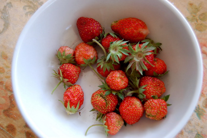 3392780_DSC_8618 (700x465, 79Kb)