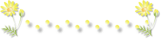 0_59cb2_2310ed45_L (323x79, 5Kb)