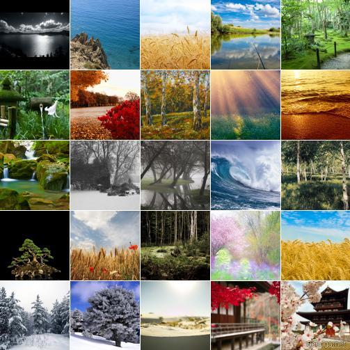 berloga.net_522934504 (503x503, 66Kb)