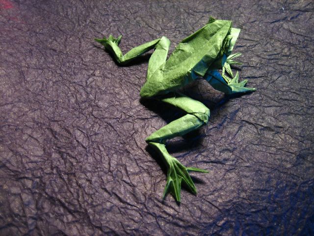 frog1 (640x480, 81Kb)