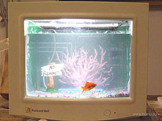 1229266473_creative-aquariums-05 (560x420, 34Kb)