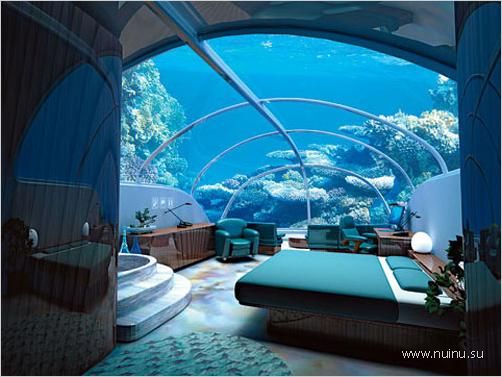 1229266549_creative-aquariums-16 (502x377, 38Kb)