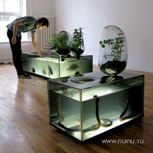 1229266523_creative-aquariums-11 (300x300, 18Kb)