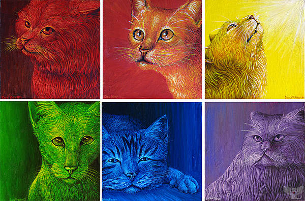 1-rainbow-cats-cara-bevan (600x396, 157Kb)