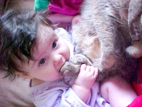 01_pets_and_kids (500x375, 56Kb)