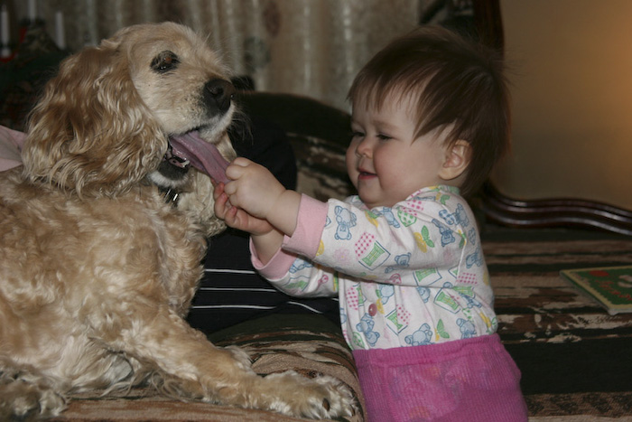 26_pets_and_kids (700x467, 135Kb)