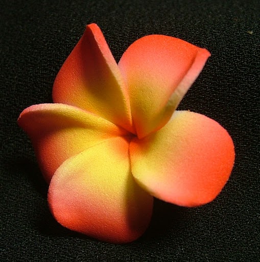 1743763_Plumeria_102U (509x512, 67Kb)