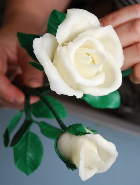 2681762_privet_roses_37 (484x640, 144Kb)
