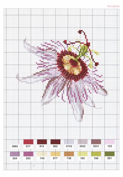 Flowers Fleurs (2004)_hq_27 (405x582, 52Kb)