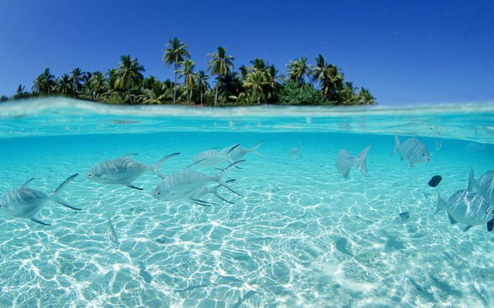 75016044_large_74531917_27 (699x437, 61Kb)