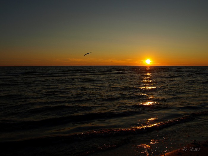 61536337_P7024955_hf (700x525, 66Kb)