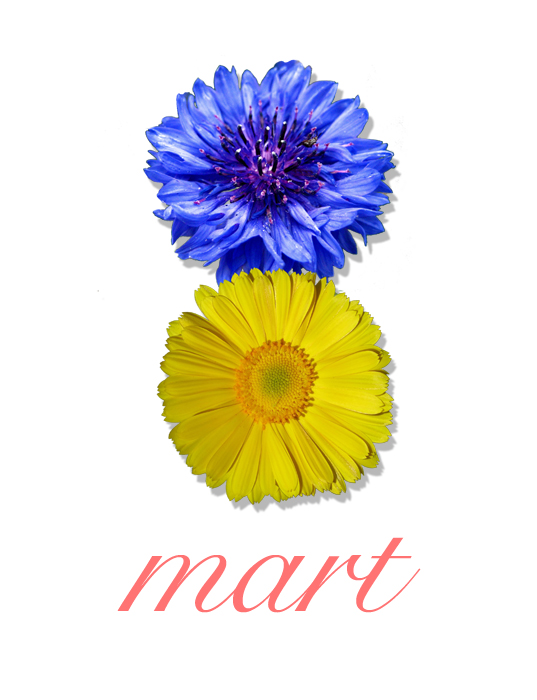 8-mart (537x700, 182Kb)