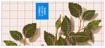  40 (700x322, 253Kb)