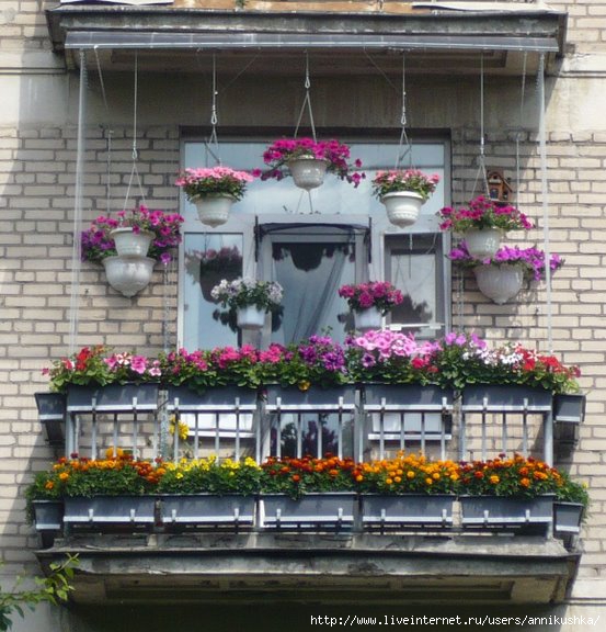 balcon-flowers7 (553x576, 200Kb)