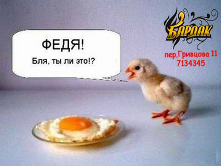 30 (450x338, 29Kb)