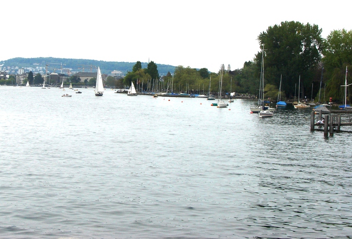 DSC00202 (700x474, 180Kb)