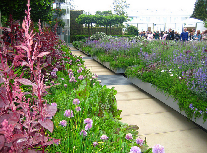 Chelsea Flower Show 2011  Flickr - Photo Sharing! (700x519, 986Kb)