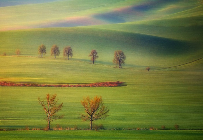 1394 (700x484, 93Kb)