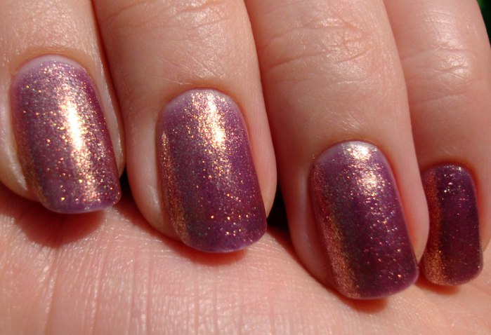 DSC04658 (700x478, 67Kb)