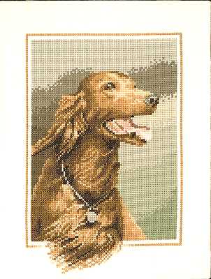 Red_Setter (302x400, 21Kb)