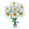 daisies_LidaYurunets (96x96, 13Kb)