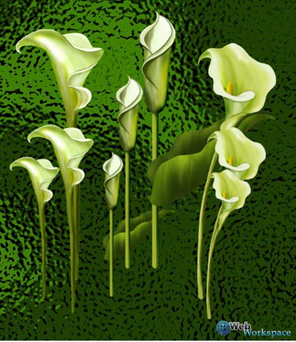 1274038862_dpf-flower-group-1_3 (600x694, 84Kb)