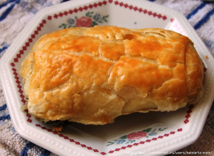 IMG_6547 (700x512, 244Kb)