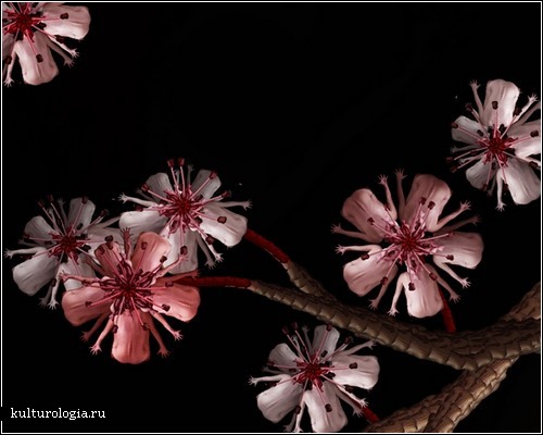 1 (500x400, 43Kb)