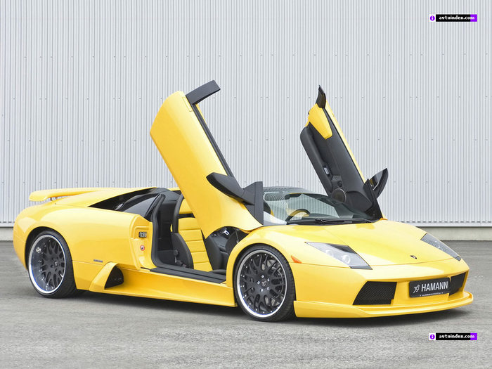 lamborghini_hamann_tuning_2 (700x525, 82Kb)