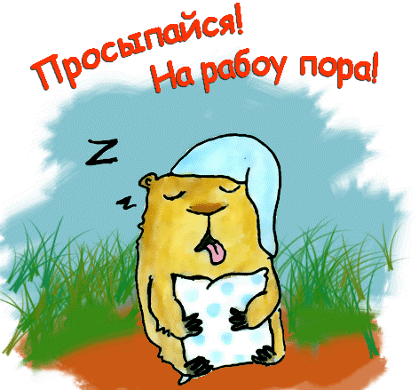 Веселые картинки пора вставать