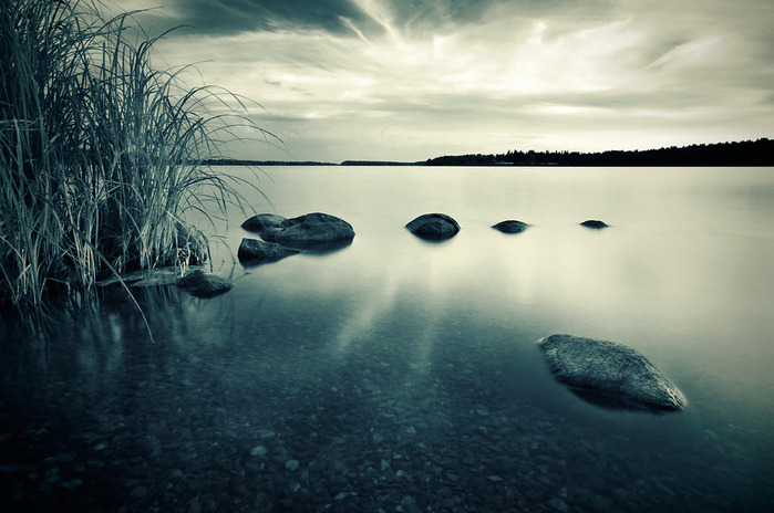 mikko8 (700x464, 100Kb)