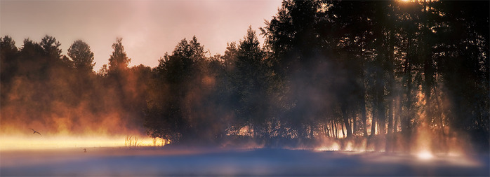 mikko24 (700x253, 59Kb)