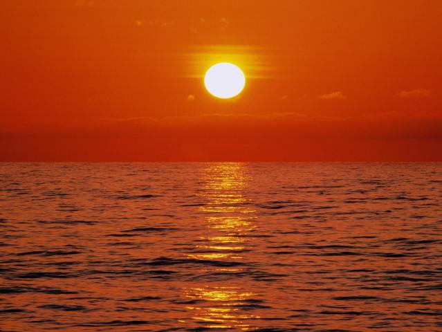 2600905_245037 (639x480, 38Kb)