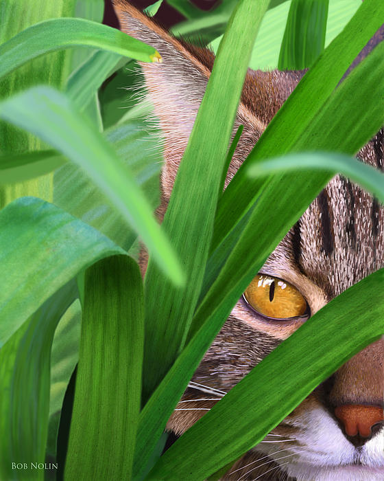 jungle-cat-bob-nolin (560x700, 143Kb)