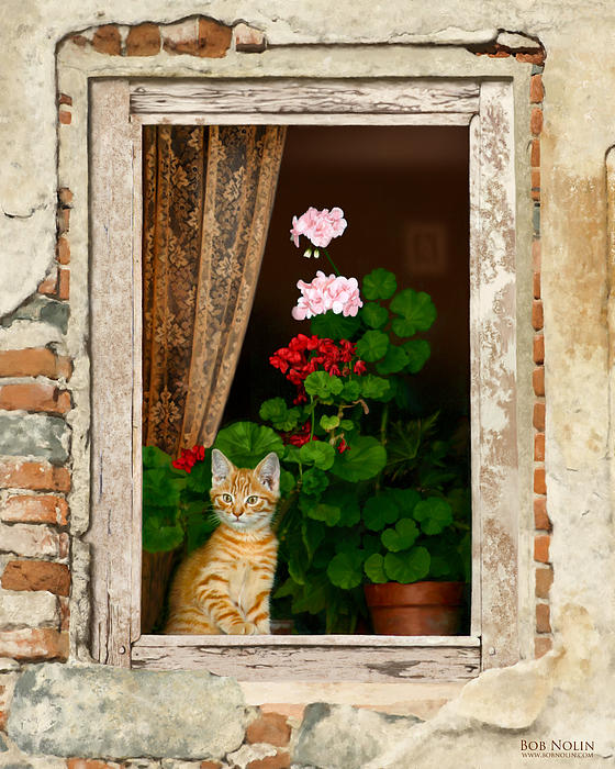 the-little-tuscan-tiger-bob-nolin_003 (560x700, 157Kb)