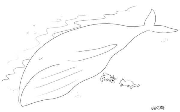 balina (600x375, 64Kb)