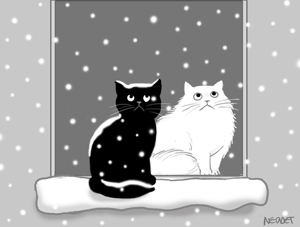 kedi-kar1 (600x453, 88Kb)