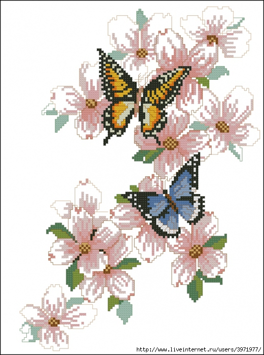 3971977_Butterflies_039 (521x700, 274Kb)