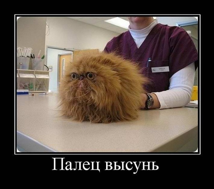   ))))) (700x620, 80Kb)