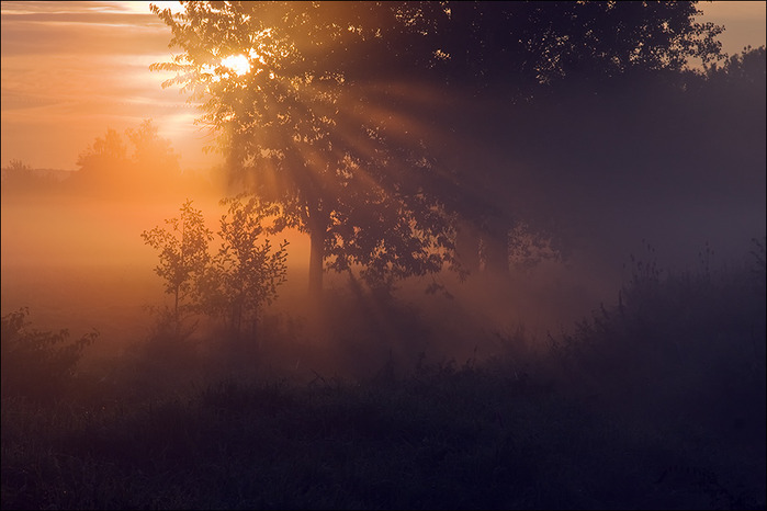 3636351_Christine_Walter_sonnenaufgang_nebel_herbst (700x466, 83Kb)